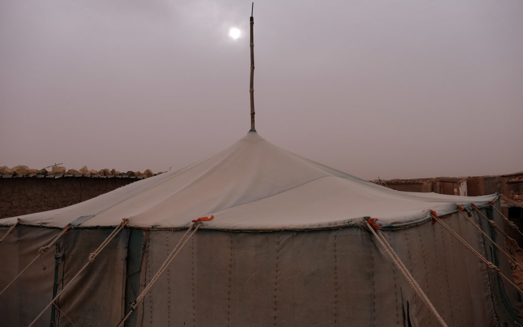 Sahara, Not Forgotten